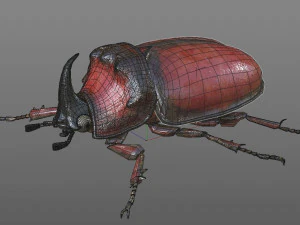 rhinoceros beetle rigged pbr low poly insect 3D Model