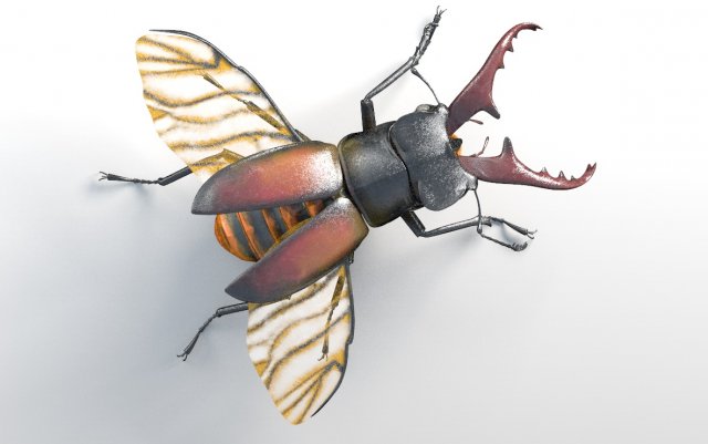 stag beetle pbr rigged low poly insect Modello 3D .c4d .max .obj .3ds .fbx .stl .blend 