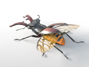 stag beetle pbr rigged low poly insect Modello 3D
