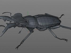 stag beetle pbr rigged low poly insect Modello 3D