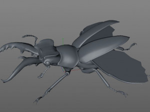stag beetle pbr rigged low poly insect Modello 3D