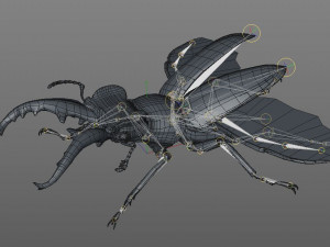 stag beetle pbr rigged low poly insect Modello 3D