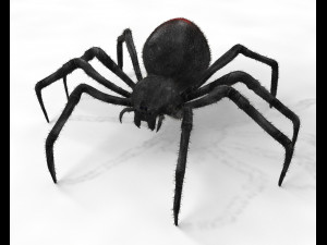 black widow spider rigged low poly 3D Model