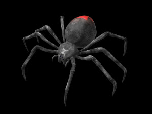 black widow spider rigged low poly Modelo 3D