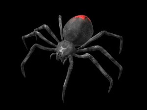 ragno vedova nera truccato low poly Modello 3D
