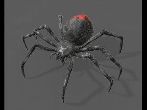 black widow spider rigged low poly Modelo 3D