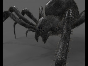 black widow spider rigged low poly Modelo 3D