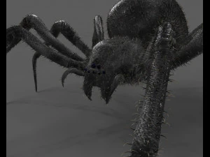 ragno vedova nera truccato low poly Modello 3D