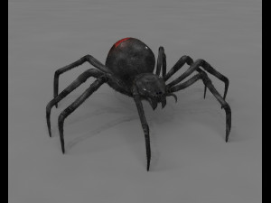 black widow spider rigged low poly Modelo 3D