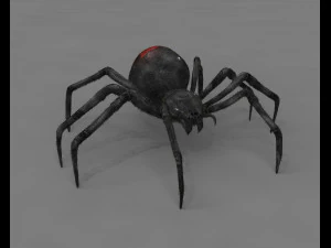 ragno vedova nera truccato low poly Modello 3D