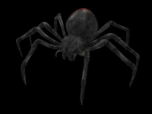 black widow spider rigged low poly Modelo 3D