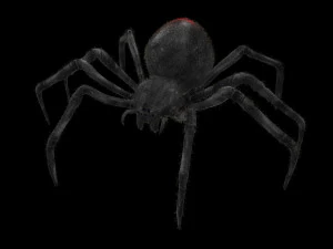 ragno vedova nera truccato low poly Modello 3D