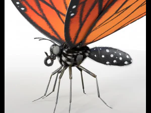 butterfly pbr rigged low poly 3D Model
