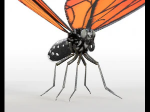 butterfly pbr rigged low poly 3D Model