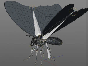 butterfly pbr rigged low poly 3D Model