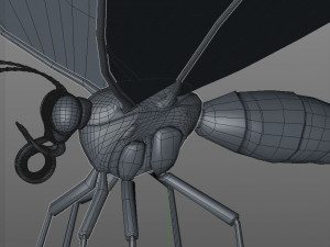 butterfly pbr rigged low poly Model 3D