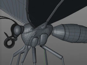 butterfly pbr rigged low poly 3D Model