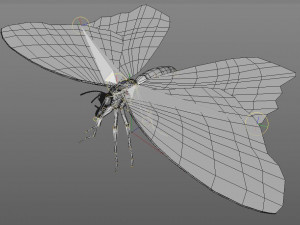 butterfly pbr rigged low poly Model 3D