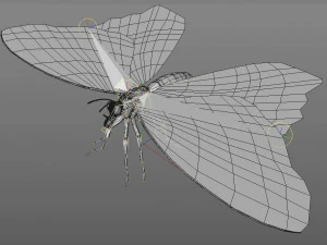butterfly pbr rigged low poly 3D Model