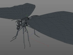 butterfly pbr rigged low poly 3D Model
