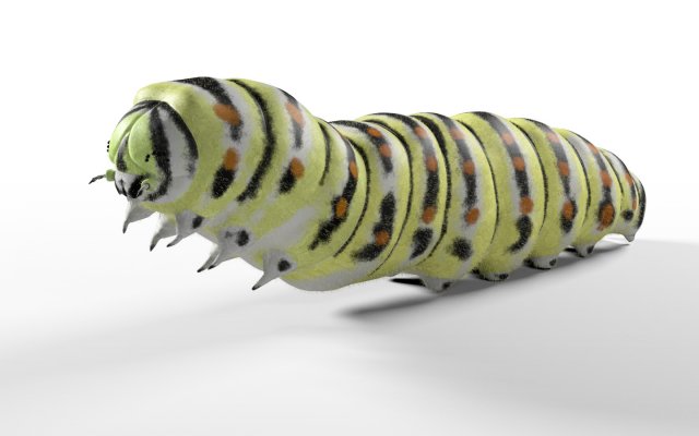 caterpillar rigged hairs insect pbr low poly Modelo 3D .c4d .max .obj .3ds .fbx .stl .blend 