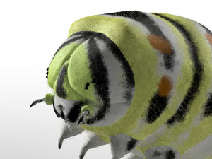caterpillar rigged hairs insect pbr low poly Modelo 3D