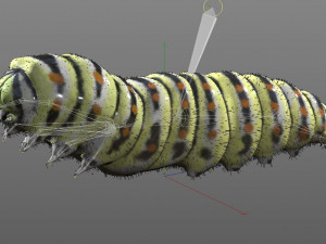 caterpillar rigged hairs insect pbr low poly Modelo 3D