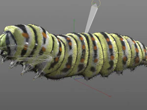 caterpillar rigged hairs insect pbr low poly 3D Model