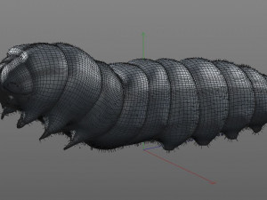 caterpillar rigged hairs insect pbr low poly Modelo 3D