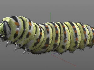 caterpillar rigged hairs insect pbr low poly 3D Model