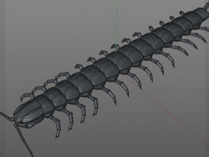 centipede rigged pbr insect low poly Modello 3D