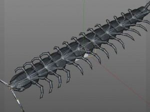 centipede rigged pbr insect low poly Modello 3D