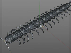 centipede rigged pbr insect low poly 3D Model