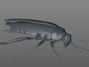 cockroach rigged pbr low poly insect 3D Model