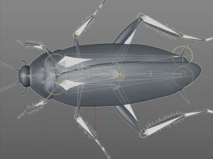 cockroach rigged pbr low poly insect 3D Model