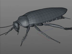 cockroach rigged pbr low poly insect 3D Model