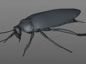 cockroach rigged pbr low poly insect 3D Model