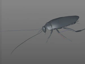 cockroach rigged pbr low poly insect 3D Model
