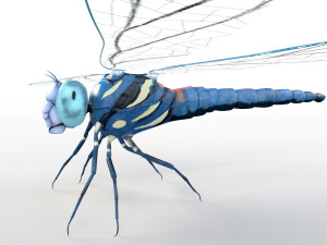 dragonfly rigged hairs pbr low poly insect Model 3D