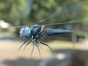 dragonfly rigged hairs pbr low poly insect Model 3D