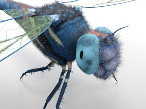 dragonfly rigged hairs pbr low poly insect Model 3D