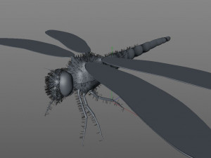 dragonfly rigged hairs pbr low poly insect Model 3D