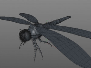 dragonfly rigged hairs pbr low poly insect Model 3D