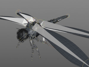 dragonfly rigged hairs pbr low poly insect Model 3D