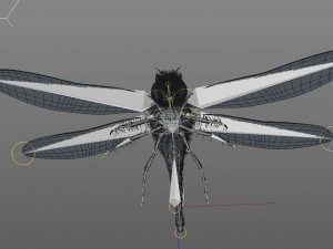 dragonfly rigged hairs pbr low poly insect Model 3D