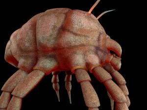 dust mite pbr rigged low poly insect 3D Model