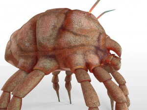 dust mite pbr rigged low poly insect 3D Model