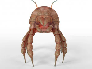 dust mite pbr rigged low poly insect 3D Model