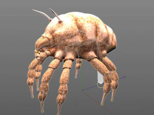 dust mite pbr rigged low poly insect 3D Model