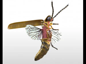 kunang-kunang dicurangi pbr serangga poli rendah Model 3D